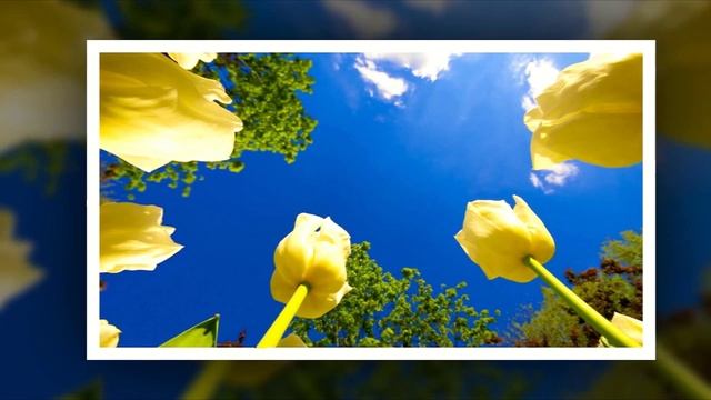 Ramio Lin - Мечта Лилит