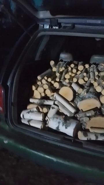 #shorts#чтоможновозитьвуниверсале#псковская#деревня#дрова#