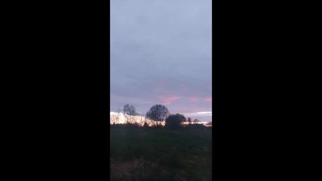 #закатвлесу#shorts#псковская#закатвдеревне#