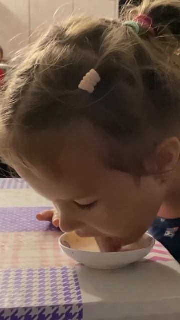 Как лакает кошка?