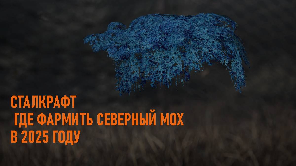 СТАЛКРАФТ ГДЕ ФАРМИТЬ СЕВЕРНЫЙ МОХ В 2025 ГОДУ
