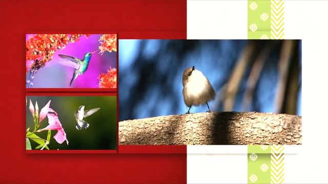 Ramio Lin - Сфера