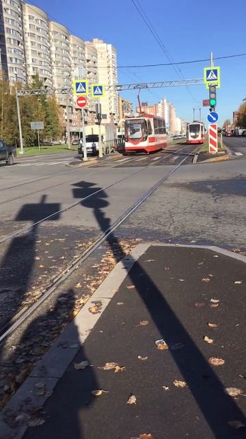 Санкт-Петербург. 17.10.2025. Приятный солнечный день. Золото осени на проспекте Энгельса. Эпизод 1