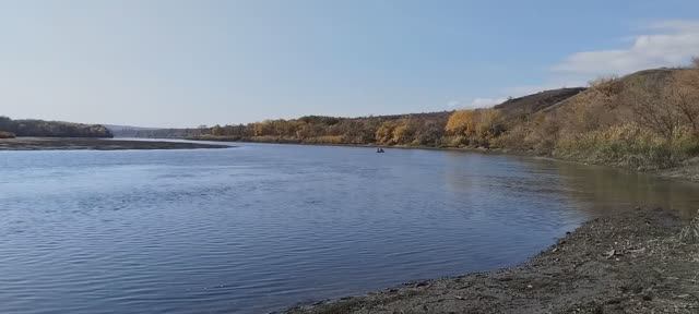 Рыбалка где ловить Сазана.Станица Калитвенская, Каменский район, Ростовская область.