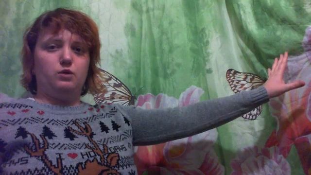 TESOL:  Lesson 2 ReadingWriting Micro Teaching II