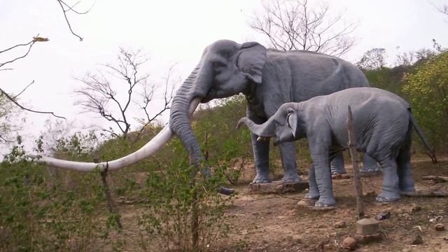 Вся ПРАВДА об эволюции Шерстистого МАМОНТА