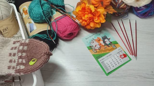 Носочный календарь октябрь: с чего начать вязать носки