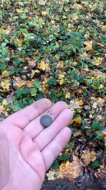 Советские монеты на лесной дороге #shorts #советскиемонеты #налеснойдороге #копание #поиск