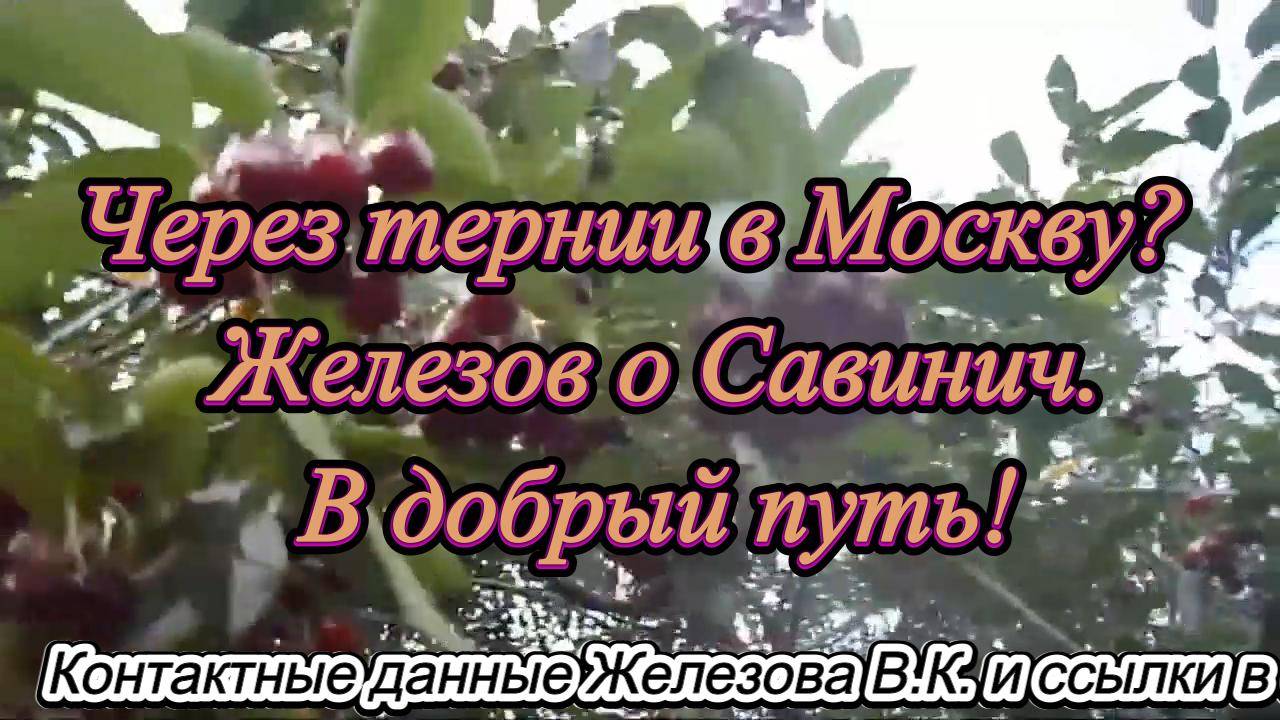 Через тернии в Москву. Железов о Савинич. В добрый путь!