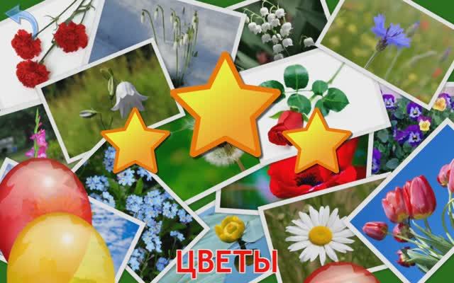Изучаем Цветы. Карточки Домана для детей. Учимся играя.