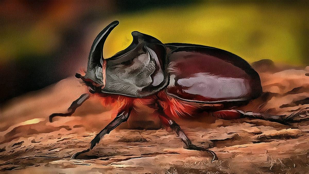 Жук Носорог