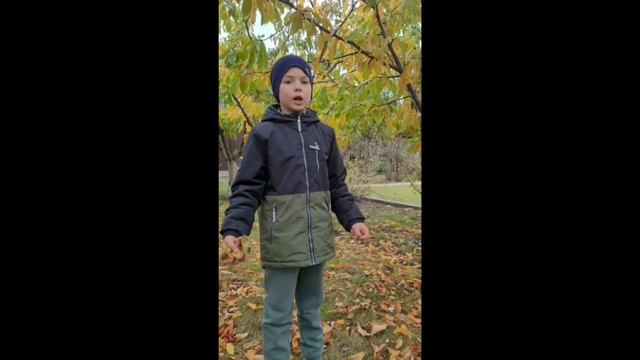 онлайн-конкурс «Осенняя поэзия» Попов Артём, группа 4 «Звёздочка»