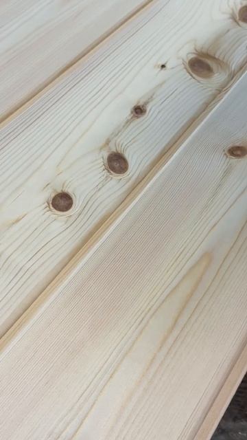 Обычная сосна vs Ангарская сосна 🌲 Что лучше для отделки?