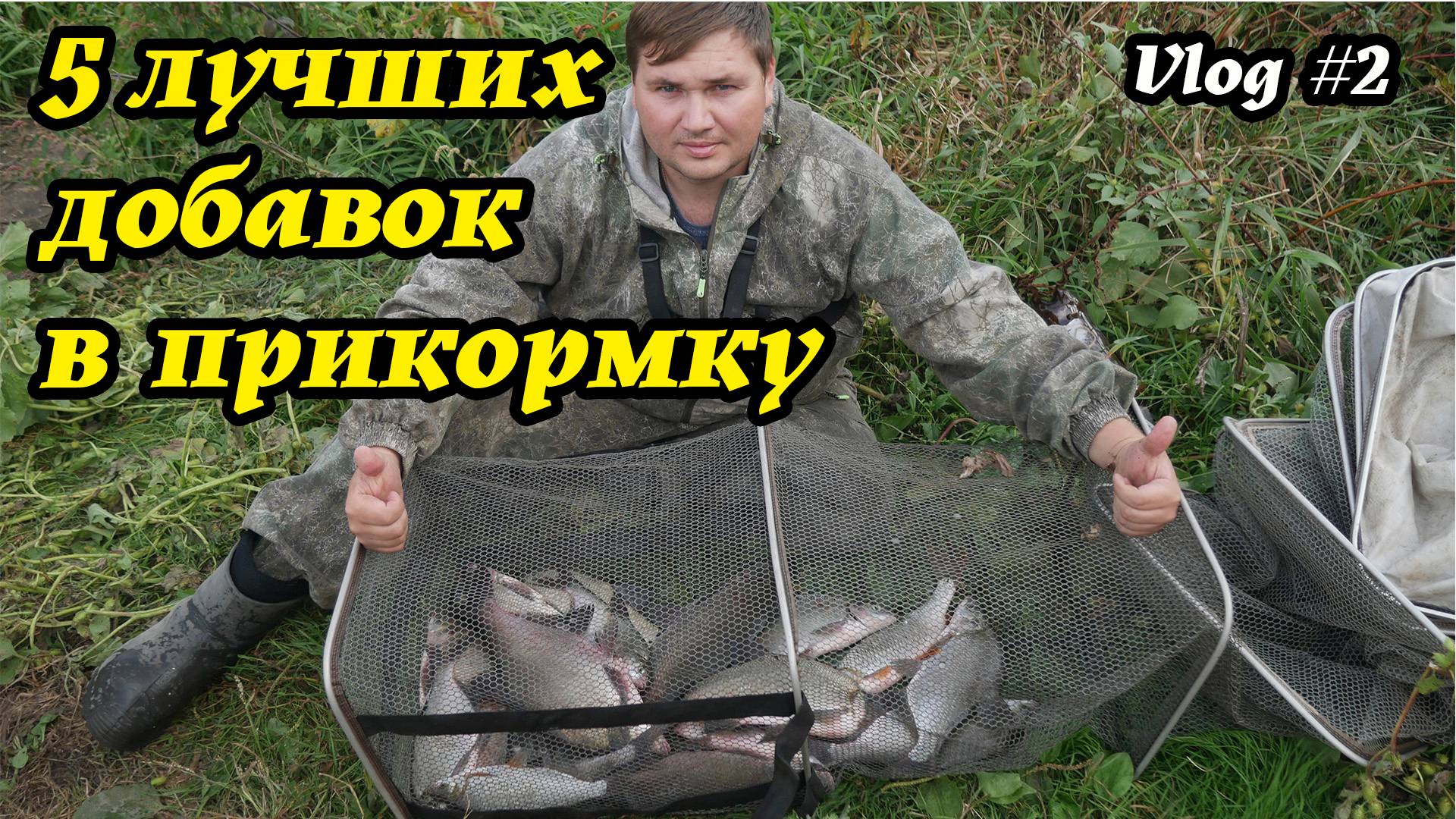 Топ  5 Добавок в Прикормку для Активного Клёва и Долгого Удержания Рыбы в точки ловли.