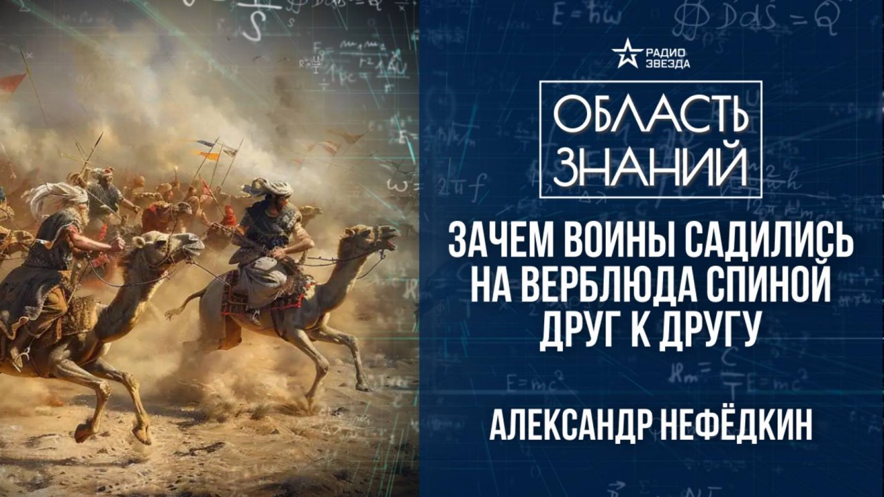 Верблюды в военном деле. Лекция историка Александра Нефёдкина