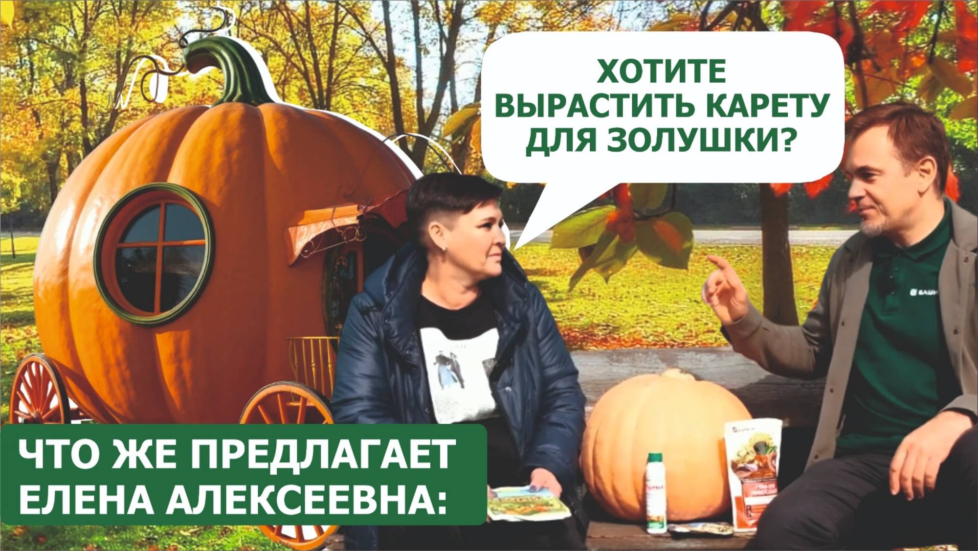 Тыква, которая может превратиться в карету для Золушки. Вырастить легко!