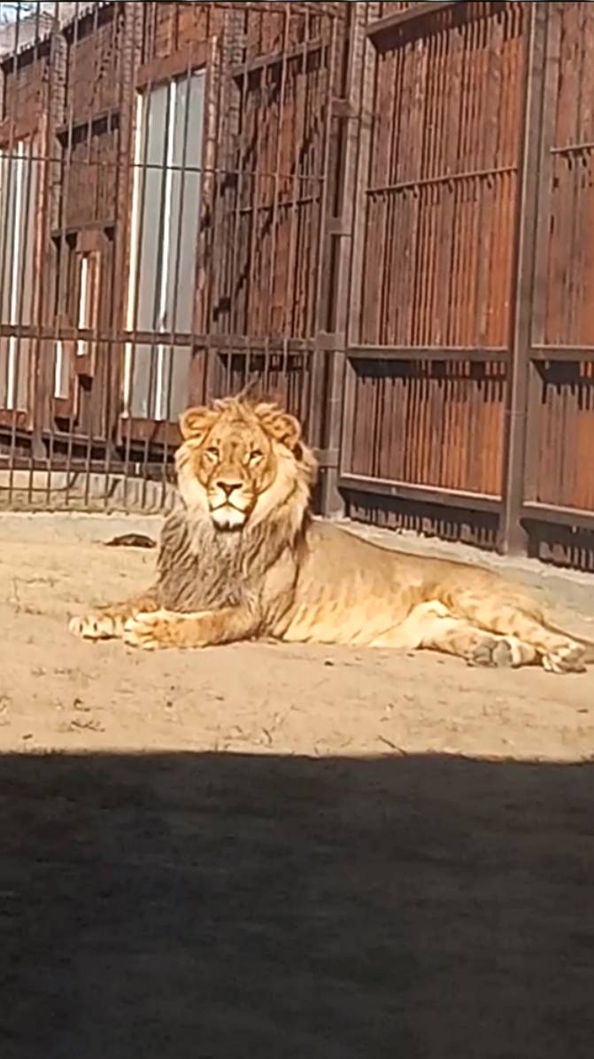 Царь в царских палатах.