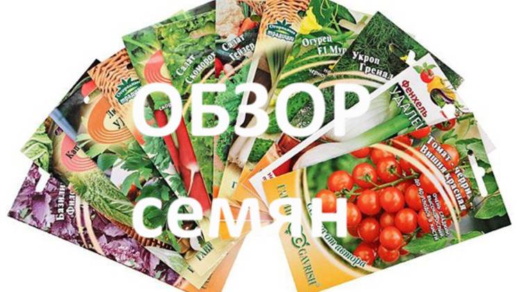 Обзор семян на 26 год