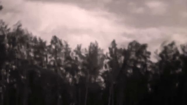 Лучшая песня