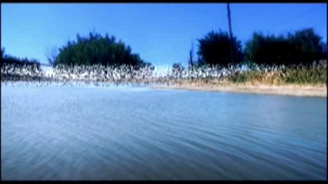 Наши Хроники( архив)  st Werema54