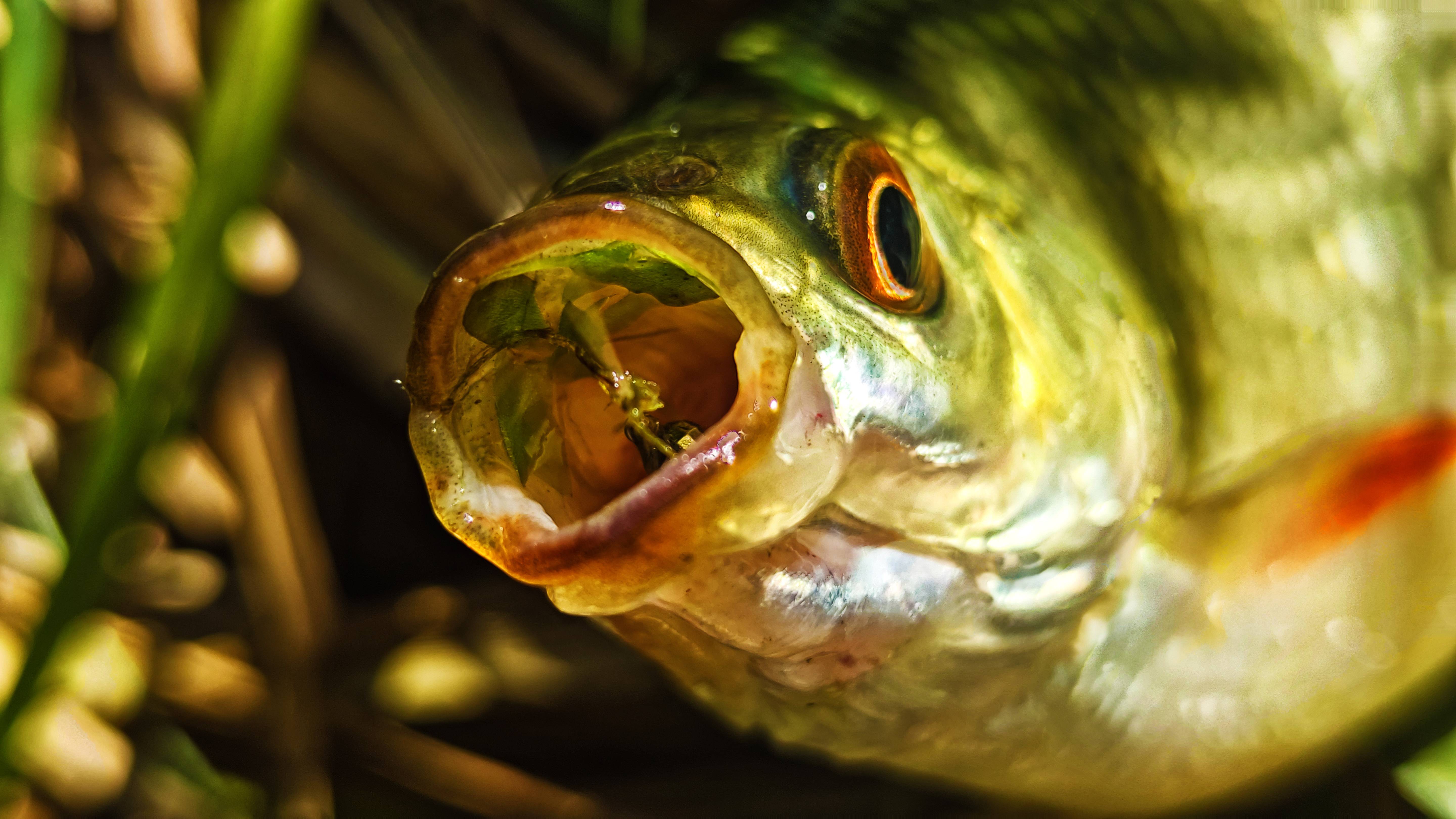 МОРМЫШИНГ в ОКТЯБРЕ АНТИТОП ПРИМАНОК Рыбалка на реке