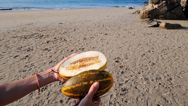 🍈 Экзотический фрукт (а может овощ) Кекири: какой на вкус, как есть и сколько стоит