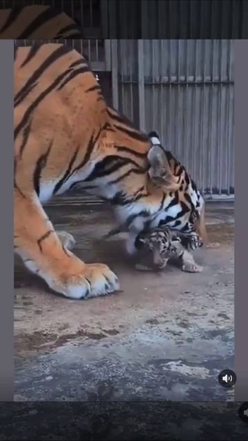 Пора спать!