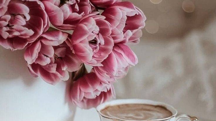 Миеи практика Новые мысои