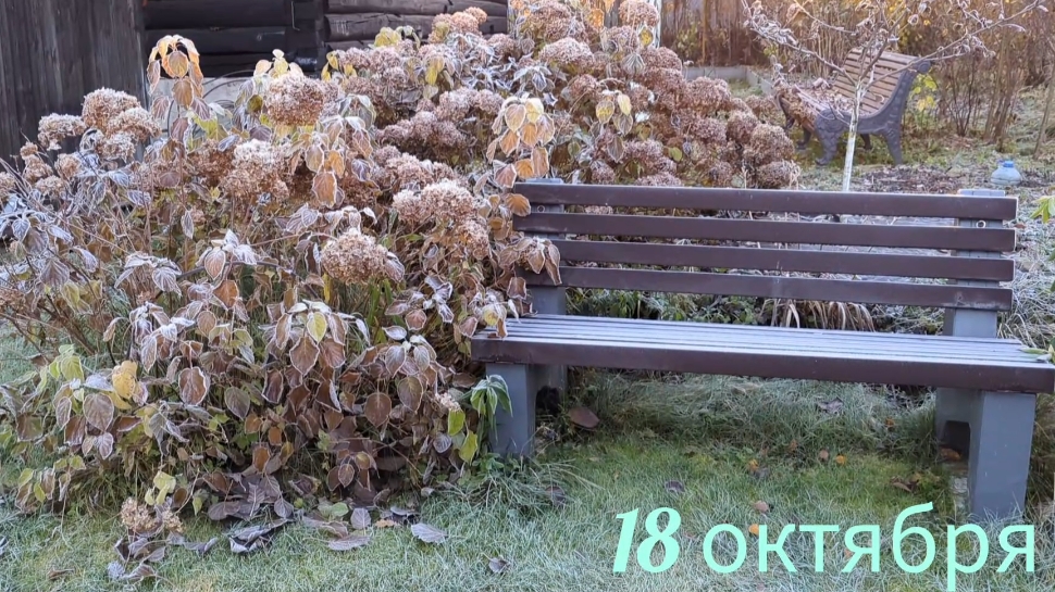 21-10-2025.Дача.Ночные заморозки..(18.10.-19.10.25)
