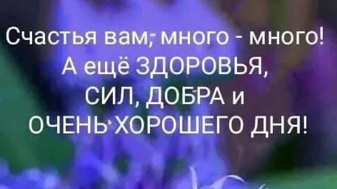 20-10-2025 Жизнь в деревне 🏠. Дождь идёт, настроения  нет.