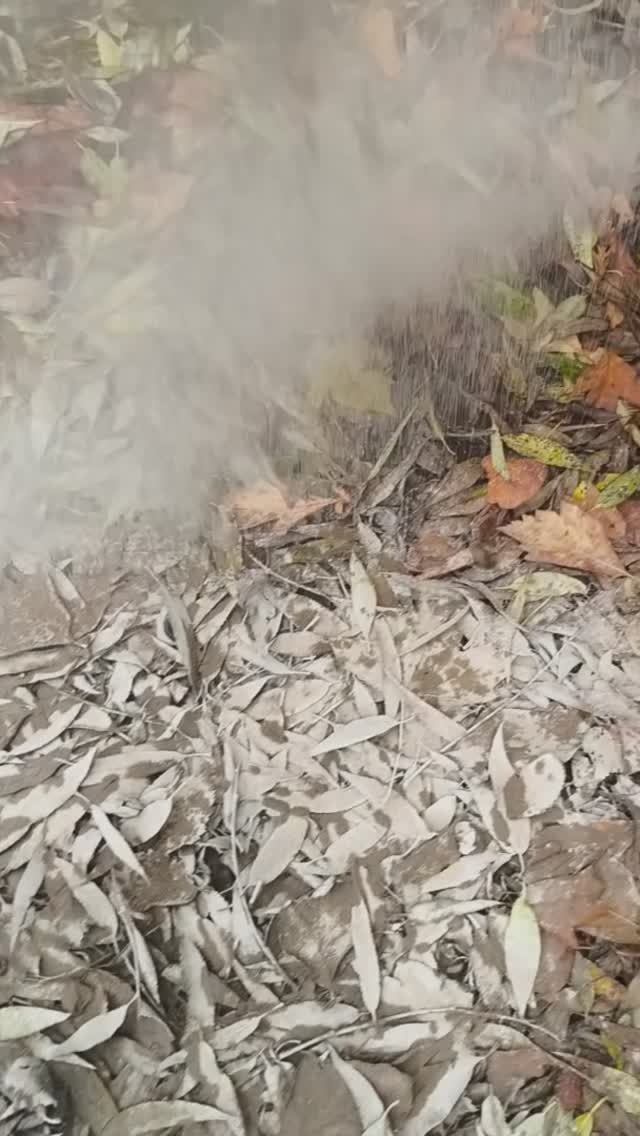 Для чего сыпать цемент в землю. Цементирование почвы. Чем улучшить почву. Цемент вместо золы.