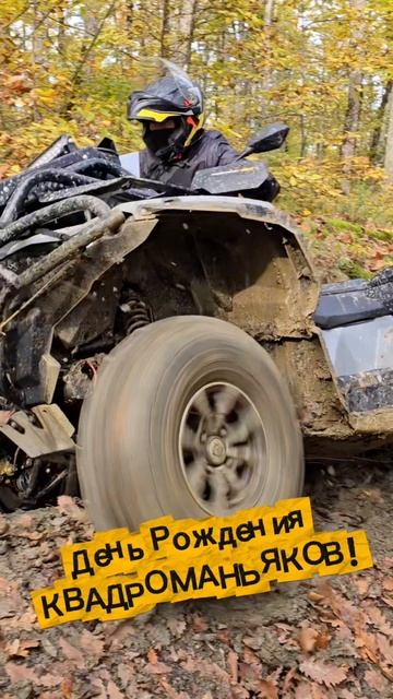 День Рождения КВАДРОМАНЬЯКОВ! #shorts