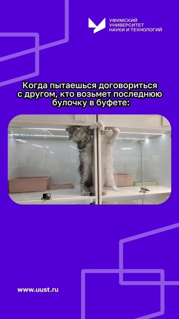 Когда пытаешься договориться с другом