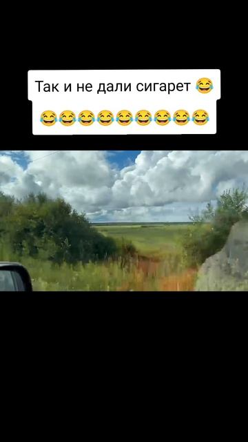 юмор🤣🤣🤣🤣🤣🤣🤣🤣