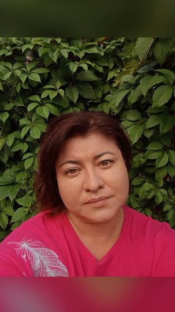 Летние воспоминания.