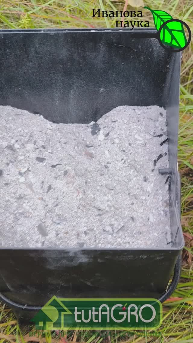 БЕЗ УДОБРЕНИЙ: ДЕРЕВЕНСКАЯ ПОДКОРМКА САДА 19 века. Яблони плодоносят по 100 лет и не болеют!