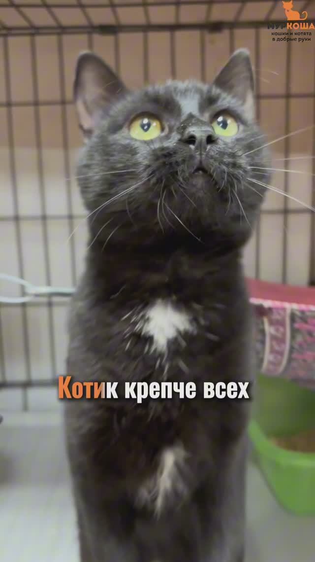 Графит (уже дома)