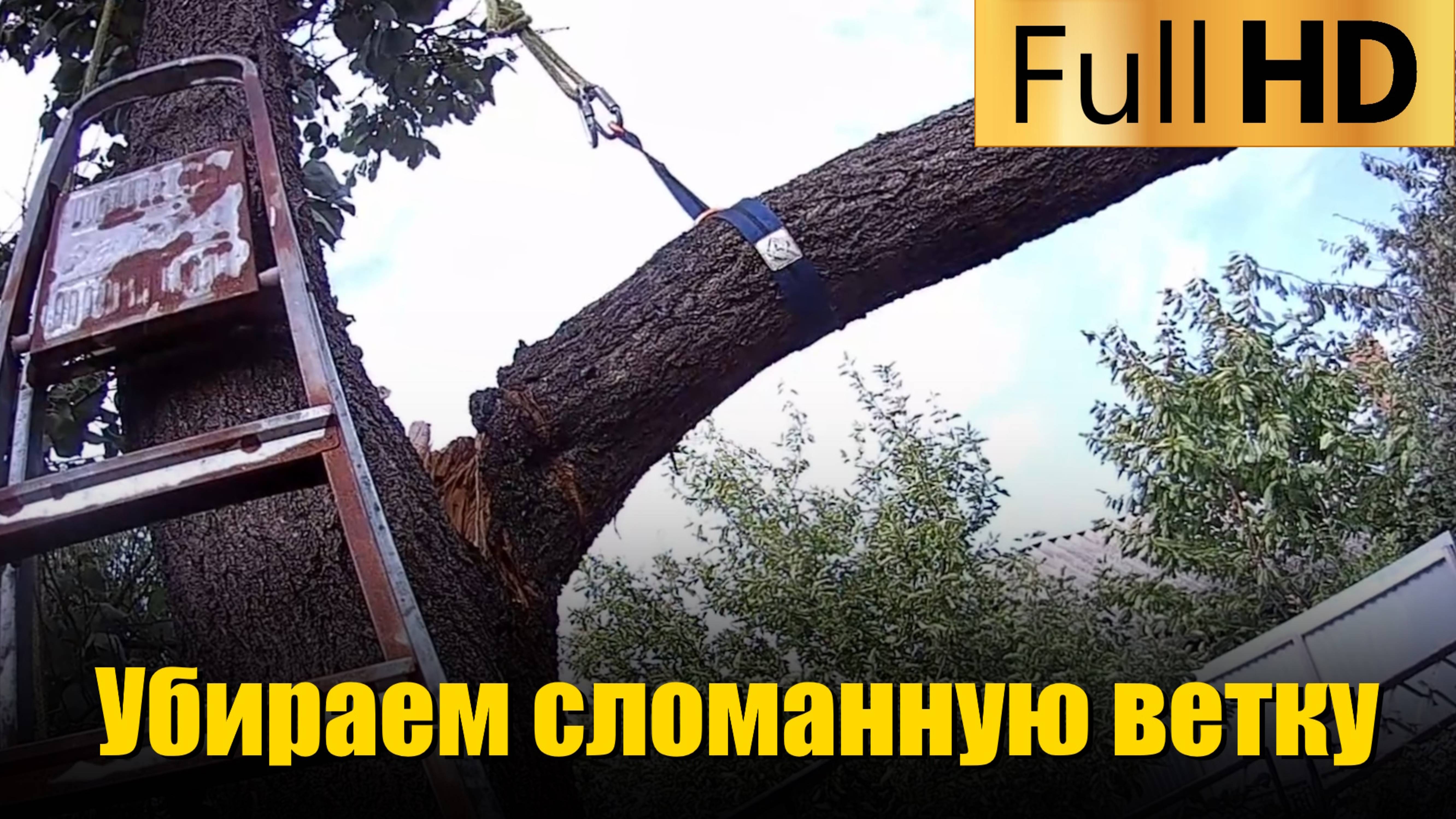 Убрали и распилили на дрова 🔥 сломанную ветку абрикоса