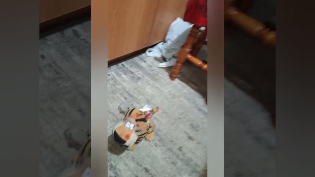 СКУЛБОЙ ПО КОММЕНТАРИЯМ ПОДПИСЧИКОВ 5 (НА КВАРТИРЕ)