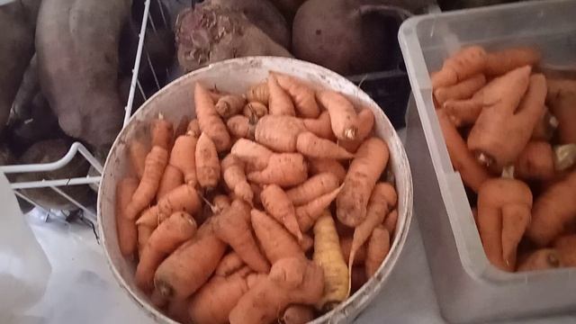 26.9.25г.   Обзор в🥕🥔🍅🥒 ПОДВАЛЕ!!!!     Мои ЗАГОТОВКИ!!!!   👍🙂