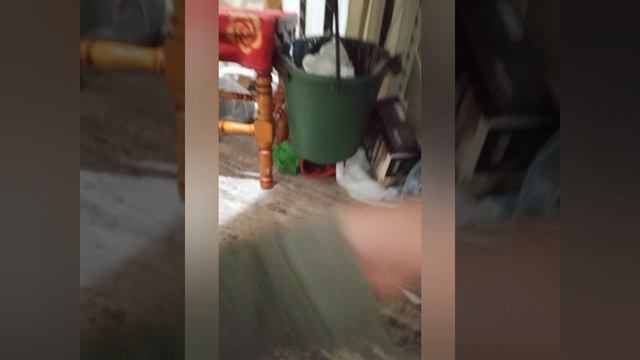 ЁРШИКОМ ЗАЙЦЫ В ЛИЦО! В ОДЕЖДЕ В ДУШ! СКУЛБОЙ ПО КОММЕНТАРИЯМ 6