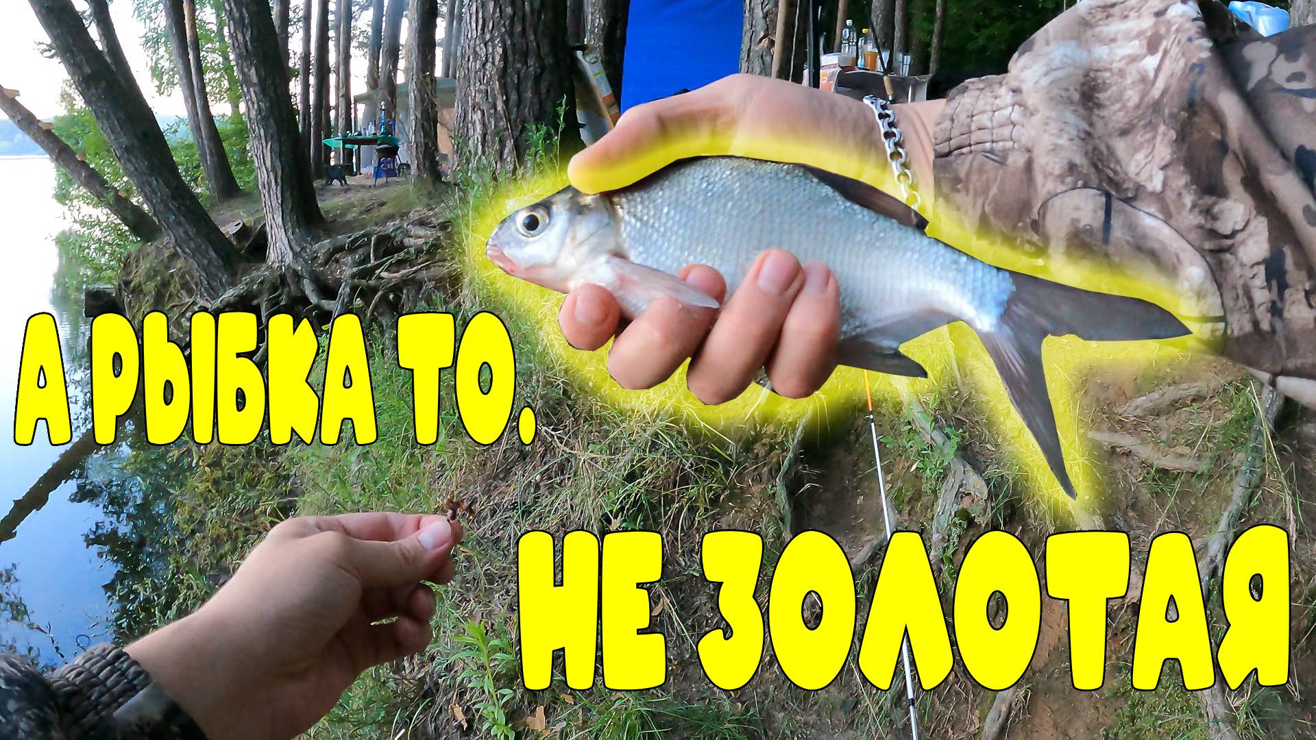 А РЫБКА ТО НЕ ЗОЛОТАЯ