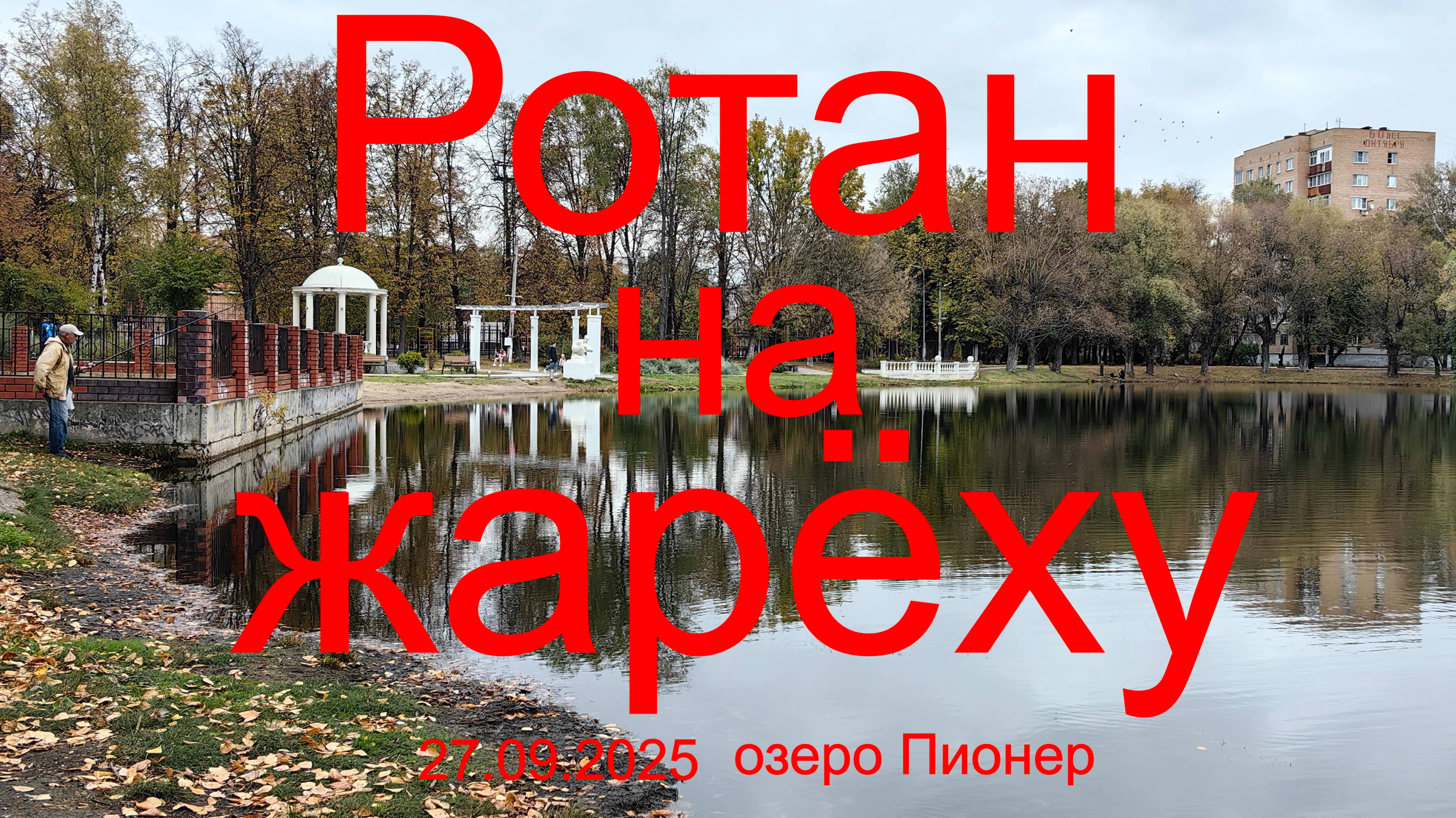 Ротан на жарёху. 27.09.2025. Озеро Пионер. г. Раменское. Рыбалка в Подмосковье