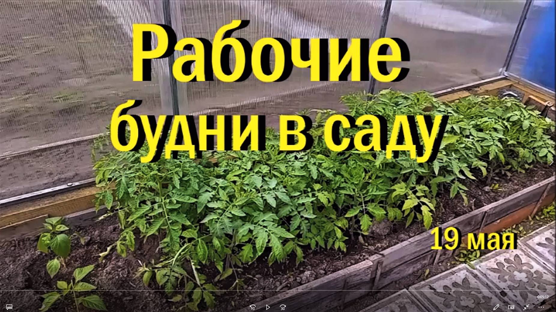 Календарь работ в саду за 19 и 26 мая