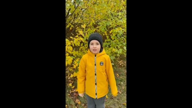 онлайн-конкурс «Осенняя поэзия» Егоров Лев, группа 5 «Светлячок»
