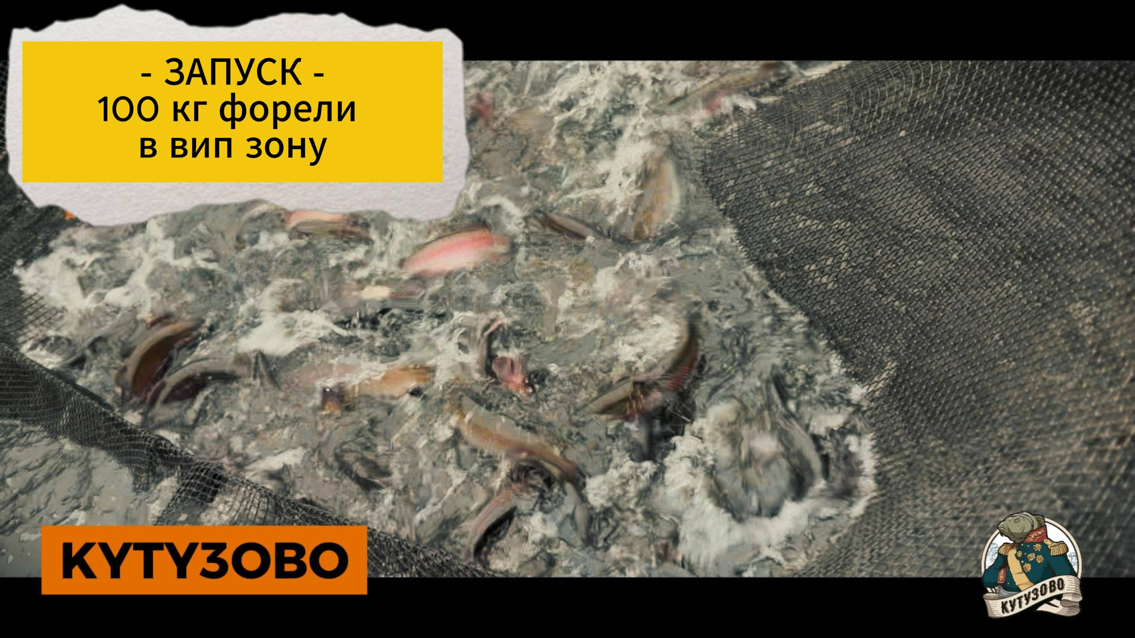 22.10 форель в вип