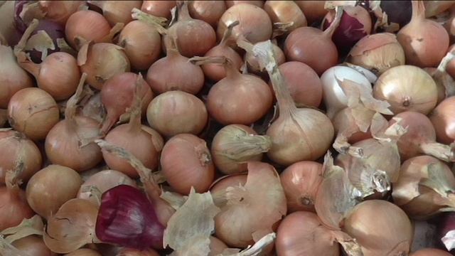 Урожайность лука