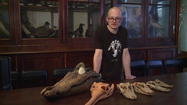 Между прочим. Гадский вопрос. Кого можно назвать родственником крокодилов?