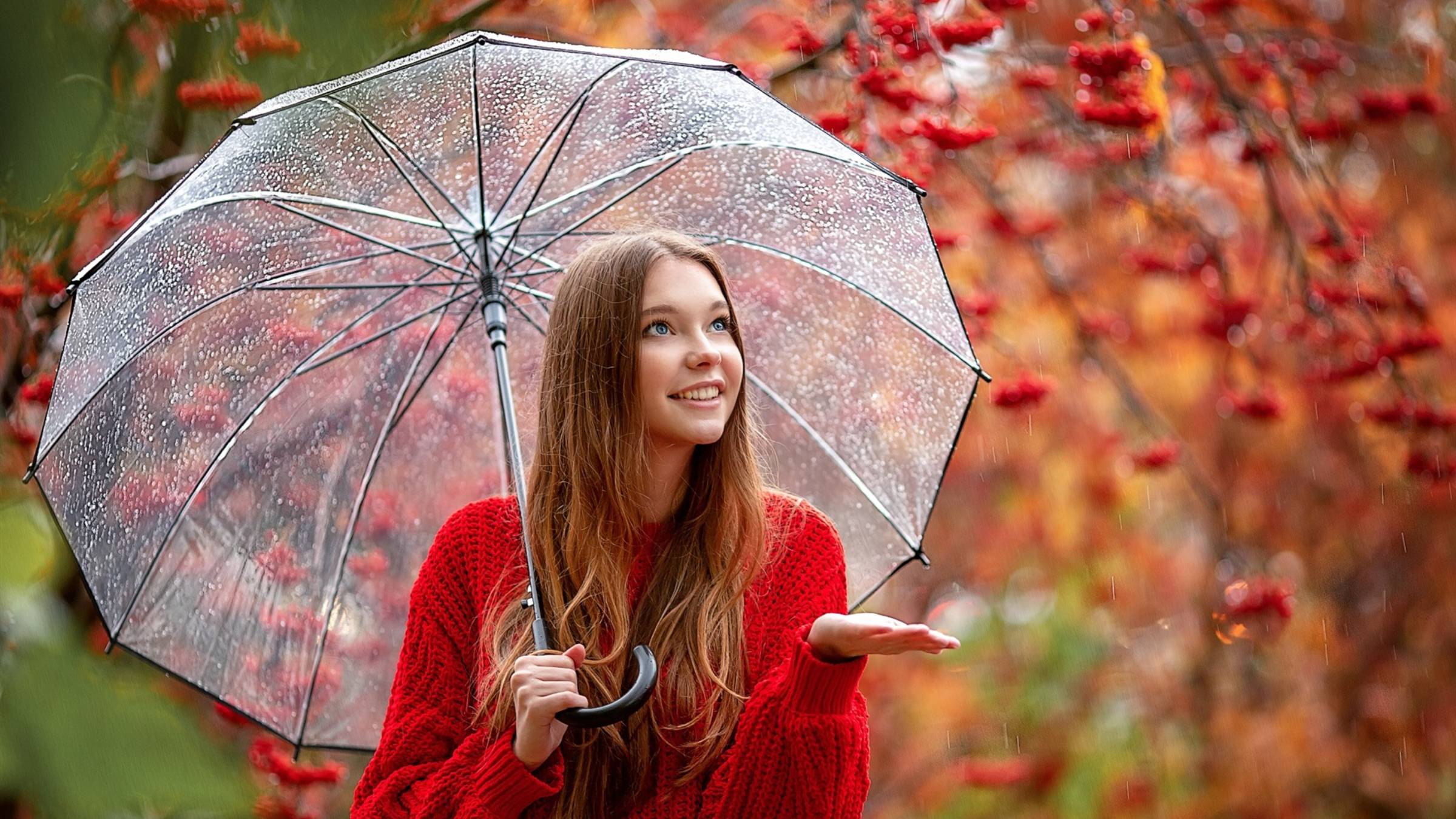 Тихо капает дождь *