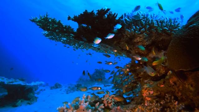 МУЗЫКА КОТОРАЯ ПОМОГАЕТ РАССЛАБИТЬСЯ И ОТДОХНУТЬ